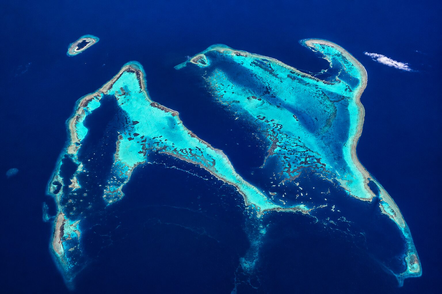 chatgpt image 8 jul 2026, 10 53 41 arrecife de apo reef